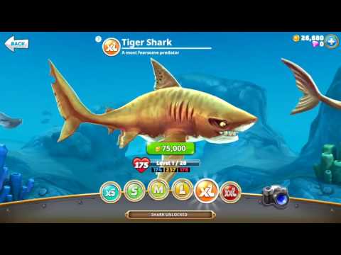 MEGAMOUTH , GREAT HAMMERHEAD , TIGER (XL SHARKS UNLOCKED) - Hungry Shark World