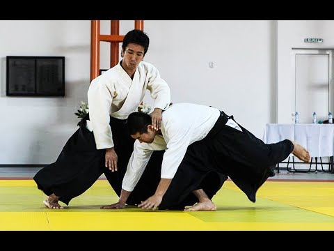 Aikido Dojo-Cho Mitsuteru Ueshiba Honbu Dojo Aikikai Japan