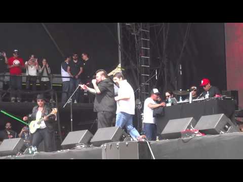 Pato Machete - Si Señor (Vive Latino 2013) (HD)