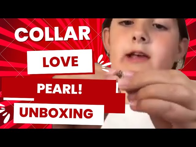 Vídeo relacionado con Wish Pearl Kit Creations Kit - Collar con colgante, collar de ostra de perlas cultivadas con caja de perlas en ostra para niñas y mujeres, princesa 2280, 1, Ostra, Ostra