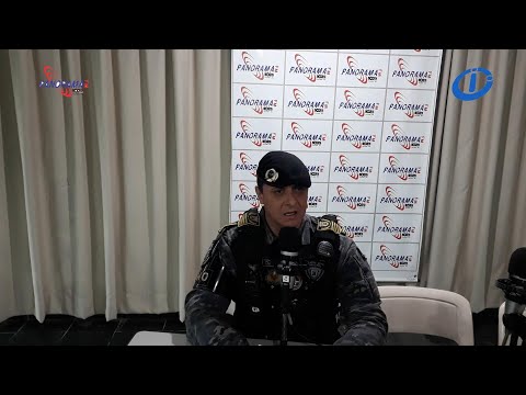 GCM: perturbação do sossego, imprudência no trânsito, festas ilegais, animais nas vias