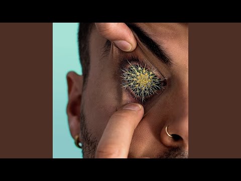 Video thumbnail for What You Wish For