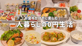 【爆買いウエル活】3日間0円一人暮らしの自炊記録｜暑い日の炊飯器節約レシピ🐷✨