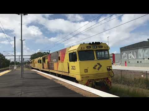 Aurizon’s 2823+2833+2353 work Y239 at Sunshine