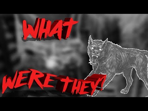 What Was The Hellhound Of Mons?