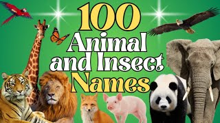 Learn 100 Animal and Insect Names | English Vocabulary!