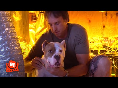 《紈褲世家》- 狗狗咬斷安迪的腳趾 (S2E7) | Movieclips (Weeds - A Dog Eats Andy's Toes (S2E7) | Movieclips)