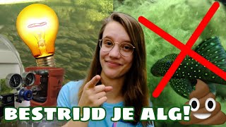 Draai ALG de NEK OM! Jullie alg vragen! De voedingsdriehoek?! //Nickey//