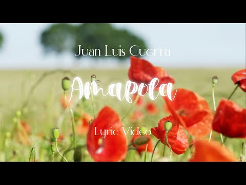 Juan Luis Guerra 4.40 - Amapola (Lyric Video)