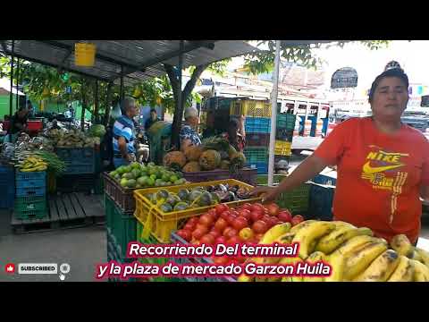 RRecorriendo Del terminal  y la plaza de mercado Garzon Huila