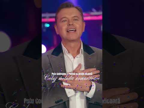 👆🏻 NOU "Puiu Codreanu & Petrică si Armin Nicoară - Colaj melodii nemuritoare"  🥳