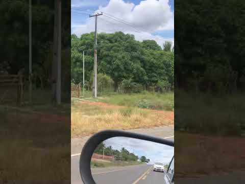Aventurando pela estrada da Bahia Alagoinhas / Inhambupe / Itamira-Aporá Bahia. 19/02/2026