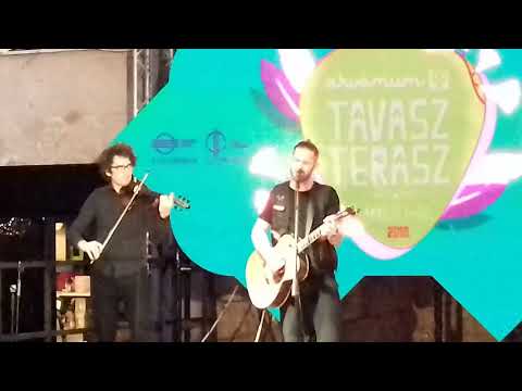 Molnár Tamás   Hülye akarok lenni