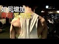 4個方法增加背部感受度|增肌系列 EP43