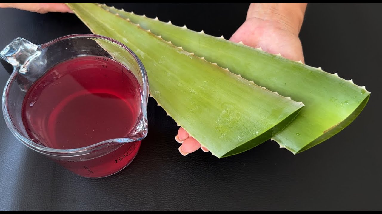 My grandmother looks 35 at 67. The best natural collagen Aloe Vera