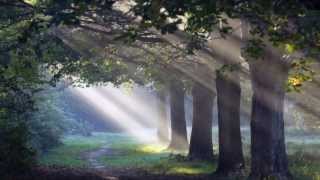 I love you truly - The McGuire Sisters