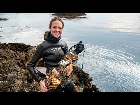 Scotland Scallop diving - We've NEVER seen so many!