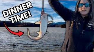 Fishing For Food 