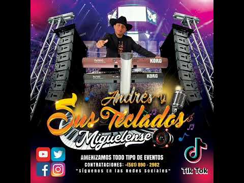 El novillo andres y sus teclados miguelense