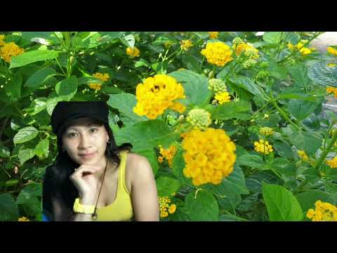 Pretty flowers and meeee/@maricrismixchannels