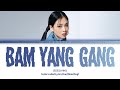 BIBI Bam Yang Gang Lyrics (Color Coded Lyrics)