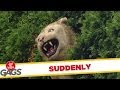 Lion Out Of Nowhere