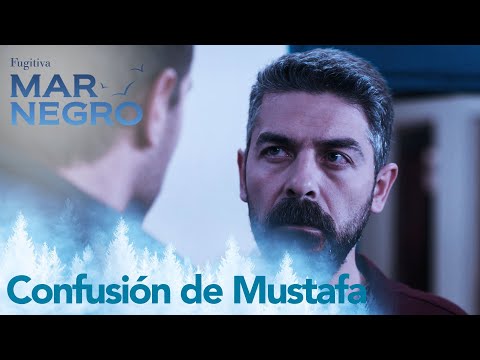 La confusión de Mustafa - Capítulo 31 | Fugitiva