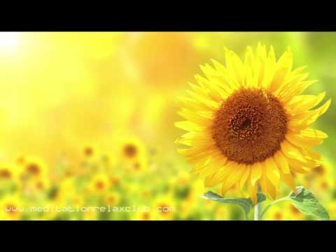 3 HOURS Powerful Healing Music & Relaxing Sounds for Headache and Migraine