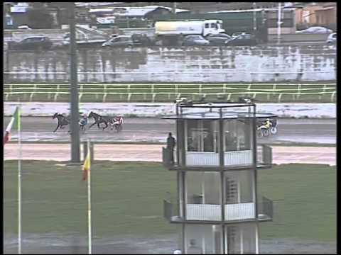 Trotto 22/01/2015 - 1° Corsa