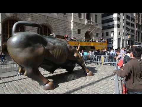 Czerwony Tulipan "Jedyne co mam"