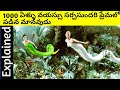 The Sorcerer And The White Snake Movie Explained Movie Explanation In Telugu Movies Inside Telugu