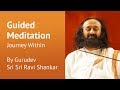 Journey Within - Guided meditation by Sri Sri Ravi ...