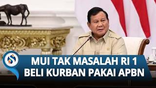 MUI Respons Polemik Prabowo Beli Sapi Kurban Pakai APBN: Negara Boleh Berkurban untuk Rakyat