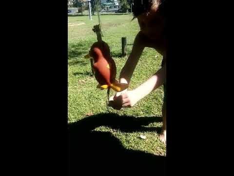 Burn da platypus pt 1