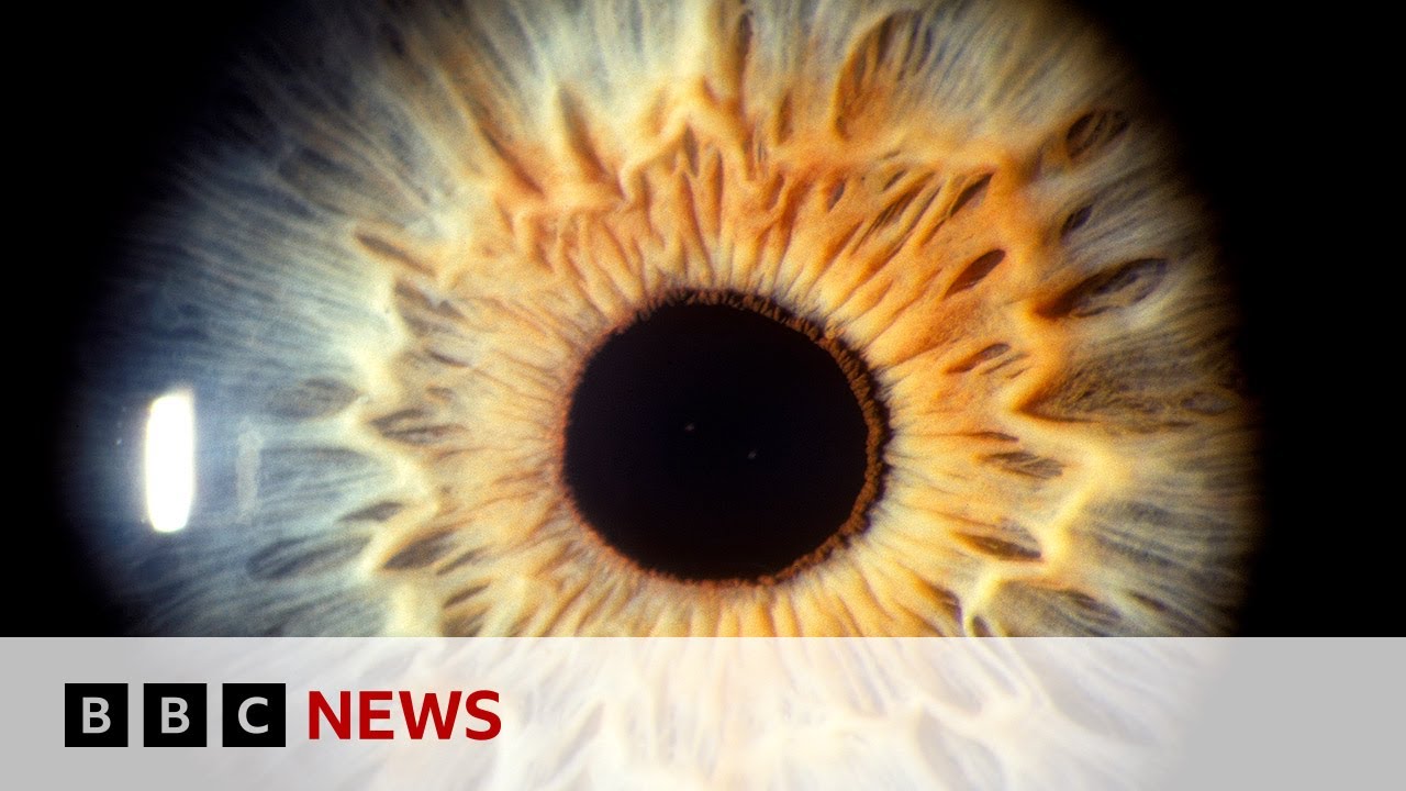 See what your brain does when you look at art | BBC News