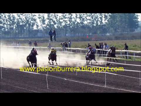 Falta Envido, 1ra Clasificatoria Polla RDA - Curuzu Cuatia (28-07-13)