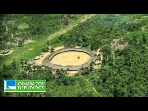 Aprovado crédito de R$ 1 bilhão para proteção ao povo Yanomami e combate ao garimpo ilegal - 8/7/24