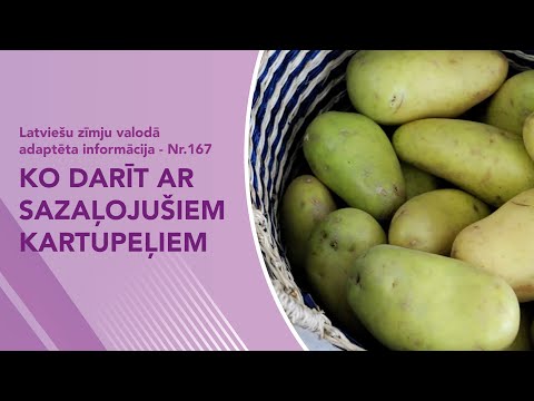 Video ziņas Nr. 167 “Ko darīt ar sazaļojušiem kartupeļiem”