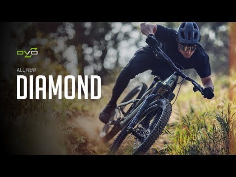 The New Diamond for the Rough