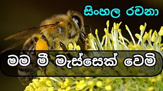 මම මී මැස්සෙක් වෙම�