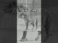 Last Photos Of Extinct Animals
