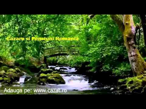 Cazare Holod, Bihor - Cazat.ro