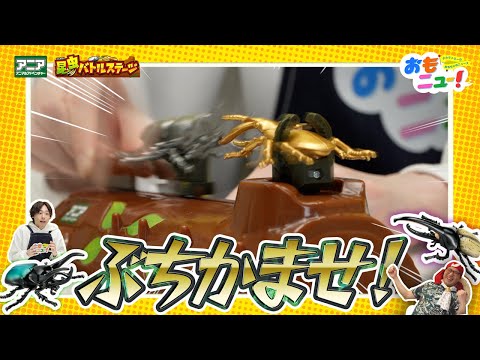 【王者は誰だ】アニア 昆虫バトルステージで白熱のバトル！！【おもニュー！】おもちゃ | カブトムシ | クワガタ | タカラトミー公式