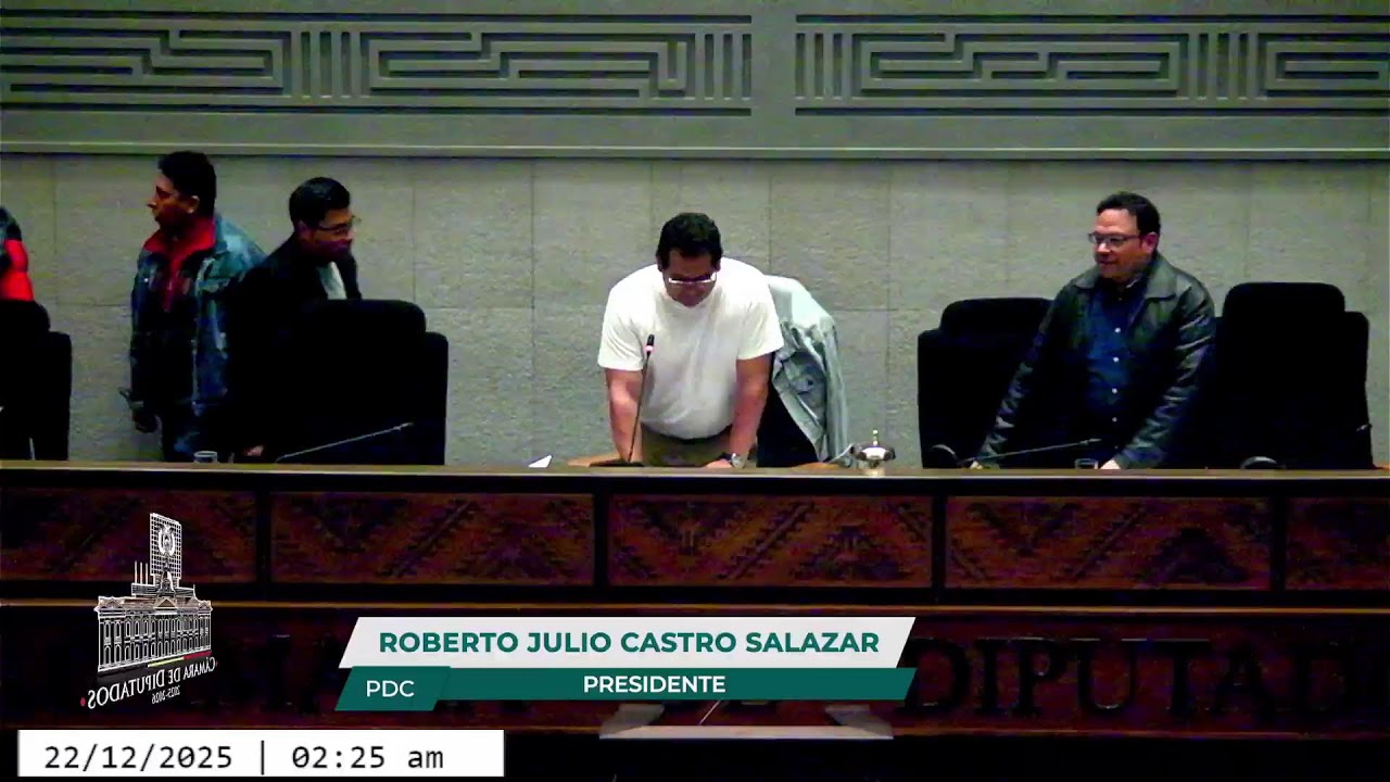 24a Sesión Ordinaria - 21/12/25