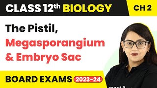 Class 12 Biology Chapter 2 | The Pistil, Megasporangium ( Ovule ) & Embryo Sac CBSE/NEET (2022-23)