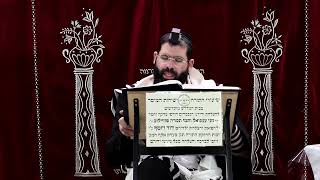 זבחים דף ע"ד ע"ב ¤ הרב נתנאל אברז'ל ¤ בית הכנסת "בית מרדכי" (מוסדות תורת דוד) - התמונה מוצגת ישירות מתוך אתר האינטרנט יוטיוב. זכויות היוצרים בתמונה שייכות ליוצרה. קישור קרדיט למקור התוכן נמצא בתוך דף הסרטון