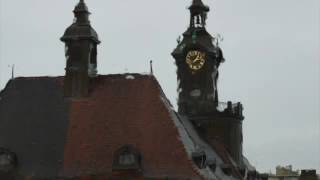 Gentle Rain and Bird song Audio from a Basel Balcony