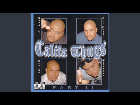 Controlamos Las Calles