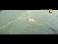 Koyaliya Gati Hai Payelya Cham Kati Hai Bolly 1080p Hdtv