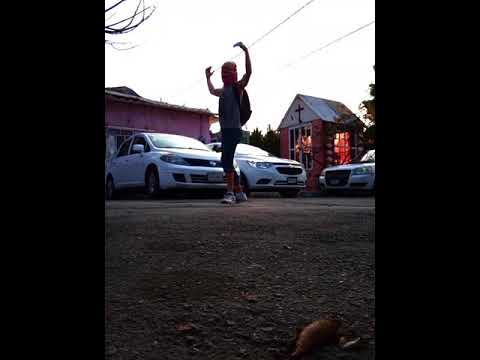 F**k All The Perfect People Part II (The Last Video) - Chip Taylor